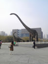 博物馆恐龙