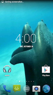 download Dolphins HD. Video Wallpaper free