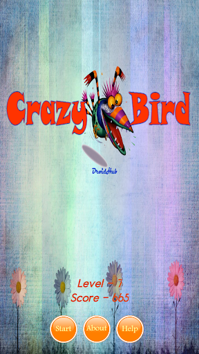 Crazy Bird