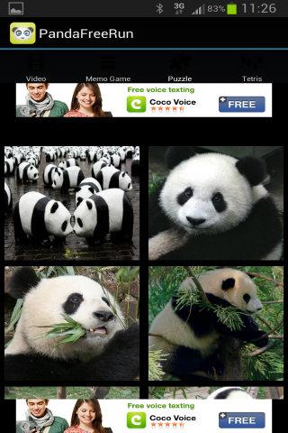 Panda Free Run Game