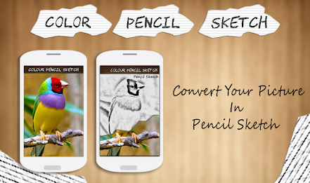 Color Pencil Sketch effect poster 11
