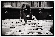 Gemeentelijke visafslag Den Helder