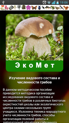 ЭкоМет: Изучение грибов