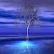 Tree In Violet Sky n Blue Pond