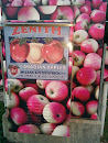 Zenith Canadian Apples Box