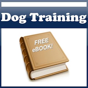 100 DOG TRAINING TIPS ! 1.1