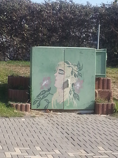 Venus Box Mural
