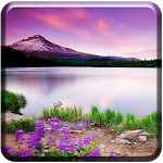 nature live wallpapers Apk