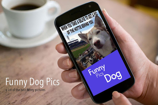Funny Dog Pics