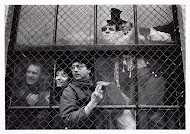 Ontruiming van het kraakpand Wijers