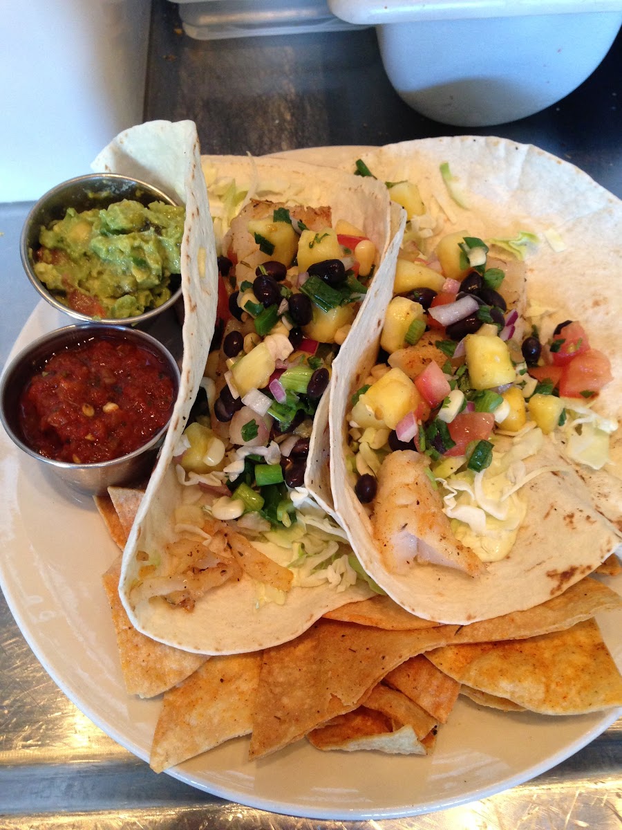 Gluten Free options for Starky's SoCal Tacos with options of fish, chicken, pulled pork or local car