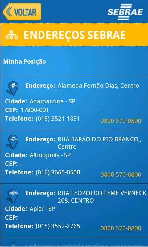 SEBRAE Screen 3