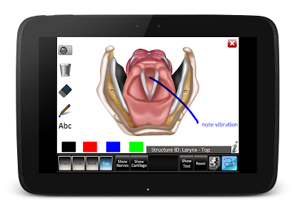 Larynx ID Screenshots 4