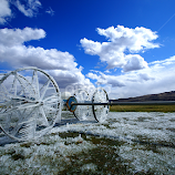 Reno Iced! by Gary Piazza -  