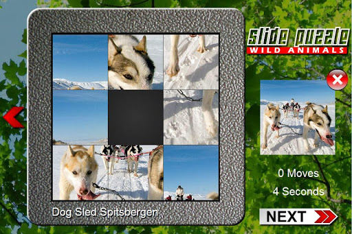 Slide Puzzle Wild Animals