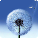 Galaxy Note3 Dandelion.apk icon
