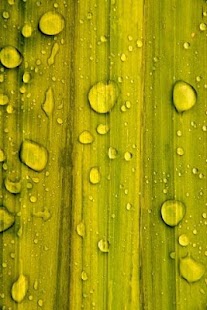 How to install Best Nature Ringtones lastet apk for bluestacks