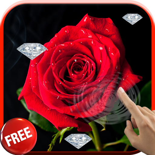 Diamonds and Roses LWP LOGO-APP點子