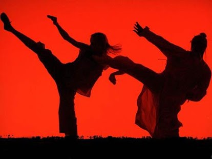 How to install Martial Arts Training 1.0 mod apk for android