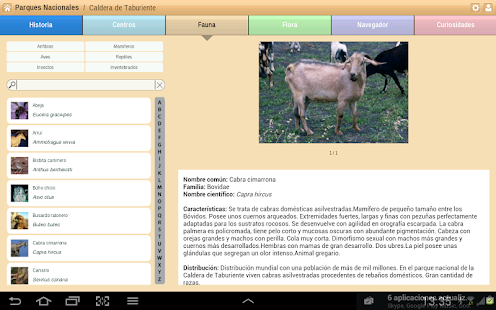 Caldera de Taburiente Parque N Screenshots 2