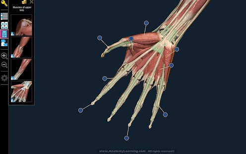  Anatomy Learning - 3D Atlas: miniatura de captura de pantalla  