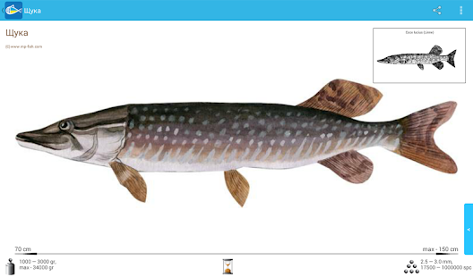 Риби України Screenshots 1