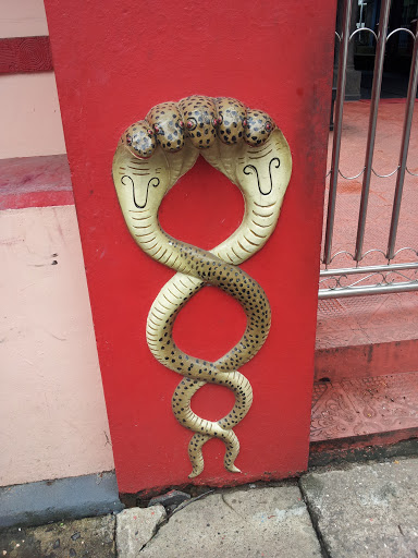 Snake on the Wall