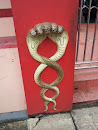 Snake on the Wall
