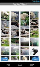 Polar Bear Wallpaper by Right Brain Mobile poster 1