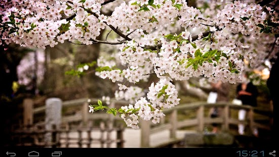 Akita City in Smartphone Screenshots 0