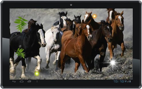 Horses Free HD live wallpaper Screenshots 0