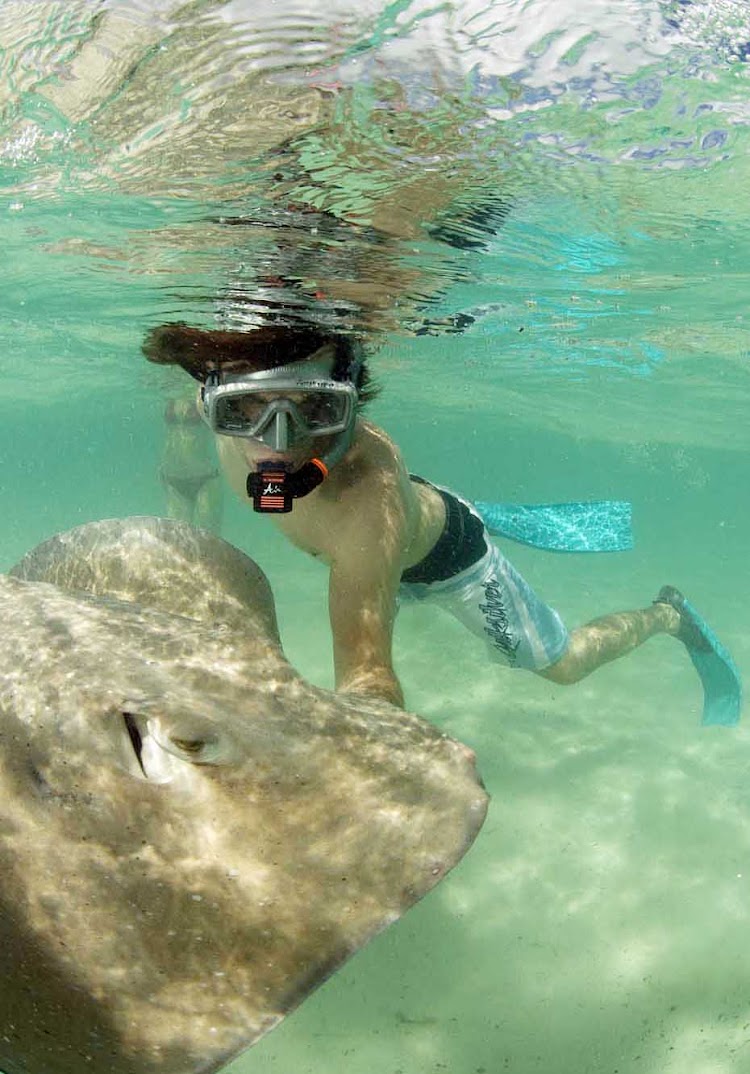 Adventures on Mo'orea can include a visit to feed stingrays in the wild.