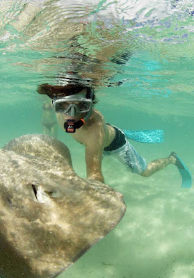 Adventures on Mo'orea can include a visit to feed stingrays in the wild.