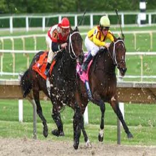 Horse Racing Guide