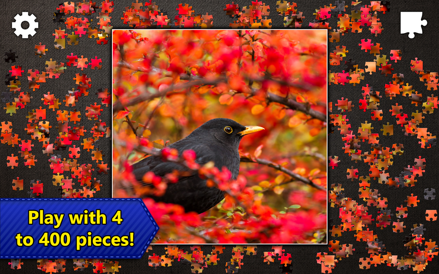 Jigsaw Puzzles Epic - Android Apps on Google Play