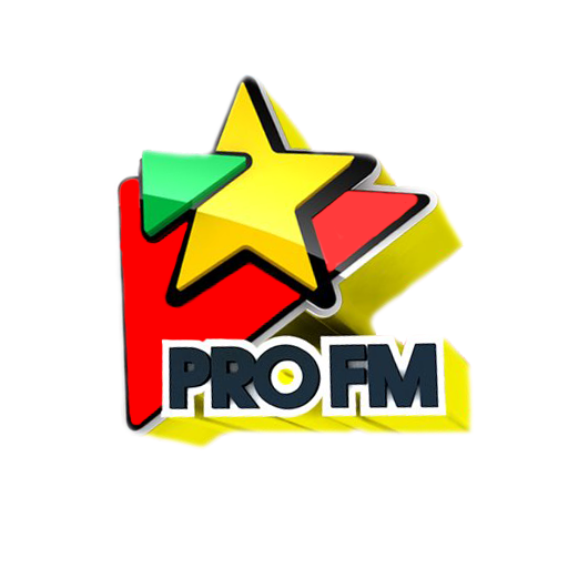 Pro FM LOGO-APP點子