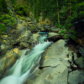 Merced River by John Souza - Landscapes Forests
