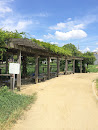 船堂公園 緑の休憩所