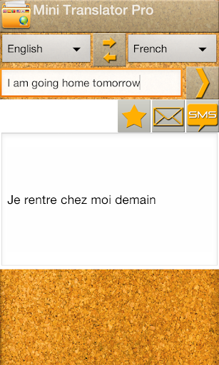 Mini Translator Pro