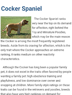 How to get Choose Dog patch 1.1 apk for android
