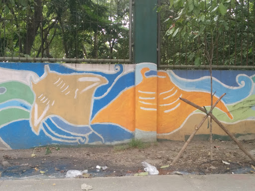 Wild Stingrays Mural