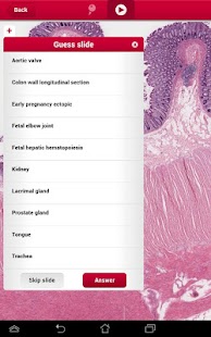 multeBook Histology Screenshots 8