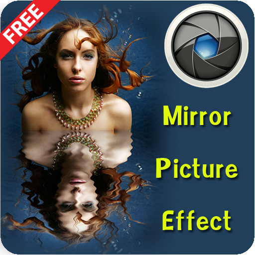 picture editor mirror effect