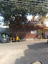 Ammavaru Temple 