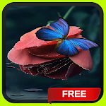 Cover Image of Unduh Butterfly on Rose 1 APK