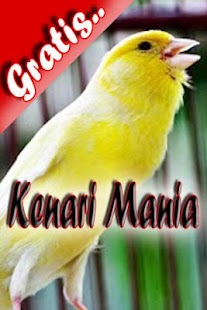 How to install Kenari Mania 1.0 unlimited apk for android