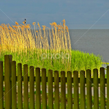 behind the fence by Diana Mockeviciene -  