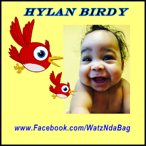 Hylan Birdy 1