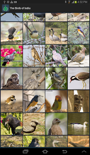 The Birds of India Screenshots 8
