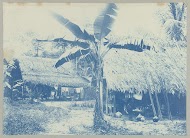 Caraïbendorp bij Albina, Suriname